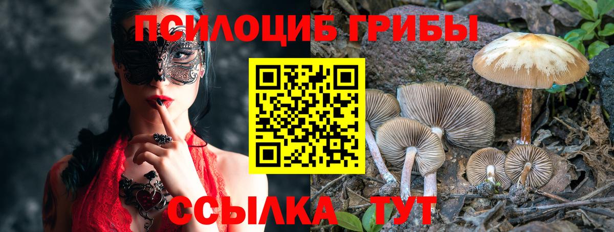 Псилоцибиновые грибы Psilocybine cubensis Лосино-Петровский